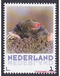 Nederland 2013: NVPH: V3013-Aa-23: "Zoogdieren in Nederland": Mol: postfris