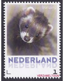 Nederland 2013: NVPH: V3013-Aa-6: "Zoogdieren in Nederland": Bunzing: postfris