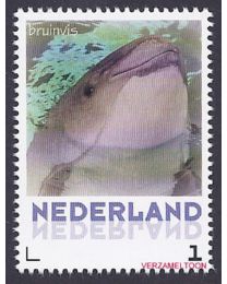 Nederland 2013: NVPH: V3013-Aa-5: "Zoogdieren in Nederland": Bruinvis: postfris