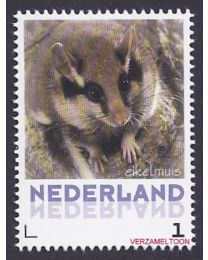 Nederland 2013: NVPH: V3013-Aa-13: "Zoogdieren in Nederland": Eikelmuis: postfris