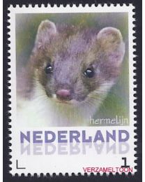 Nederland 2013: NVPH: V3013-Aa-19: "Zoogdieren in Nederland": Hermelijn: postfris