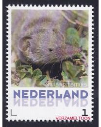 Nederland 2013: NVPH: V3013-Aa-20: "Zoogdieren in Nederland": Huisspitsmuis: postfris