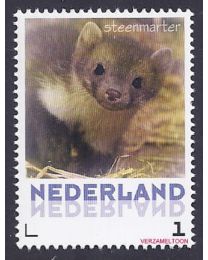 Nederland 2013: NVPH: V3013-Aa-27: "Zoogdieren in Nederland": Steenmarter: postfris