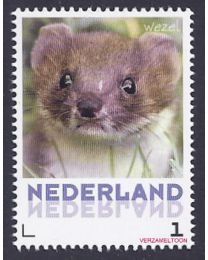 Nederland 2013: NVPH: V3013-Aa-31: "Zoogdieren in Nederland": Wezel: postfris