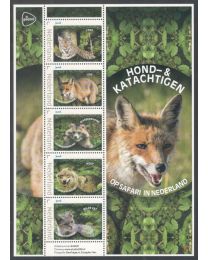 Nederland 2024: NVPH: V3642P: "Op safari in Nederland: Hond- & Katachtigen": velletje postfris